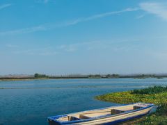 -合肥滨湖国家森林公园