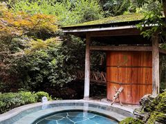 -和顺柏联温泉
