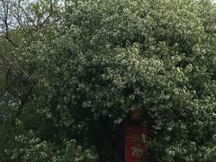 -长春市南湖公园