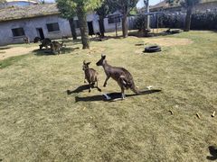 -南京金牛湖风景区