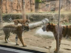-杭州野生动物世界