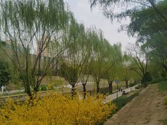 -元大都城垣遗址公园