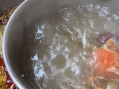 -金鼎雪山牦牛杂火锅(理县总店)