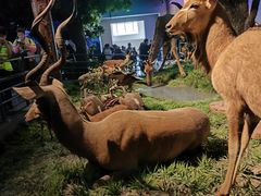 -国家自然博物馆