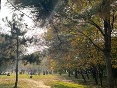 -洛阳市隋唐城遗址植物园
