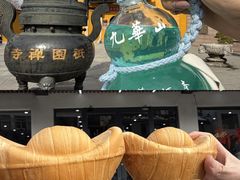 -九华山风景区