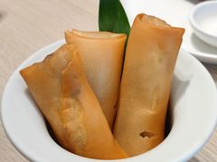 冬笋黄鱼春卷-苏小柳点心·手作小笼包(康桥分院)