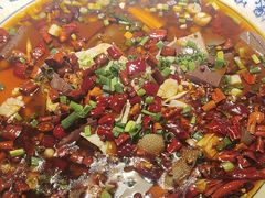 -院8里·小聚园老川菜(九眼桥店)