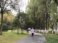 -范蠡湖公园