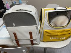 -安安宠医·臻爱宠物医院·宠保定点(营门口路分院)