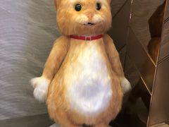 -悦江新远影城IMAX