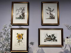-遇见博物馆(遇见海洋沉浸式奇幻光影展)