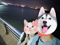 -演武大桥观景平台