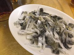 -鸽王世家(东华东路店)