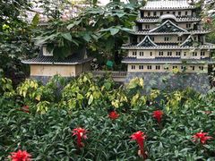 -南宫五洲植物乐园