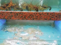 -渔人湾码头海鲜市场负二楼