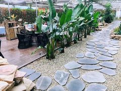 -桉树林A coffee 森林餐厅(三圣乡店)