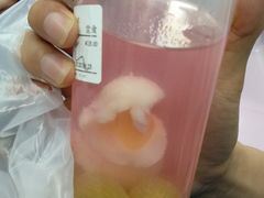 荔枝红提-鲜果时间·果蔬茶(赛格负二层店)