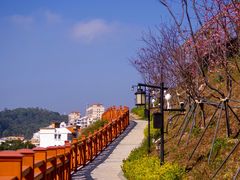 -小南山公园