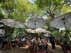 -Fern Forest Cafe