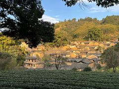 -杨家堂村