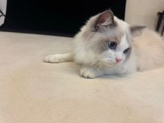 -猫遇摄影工作室