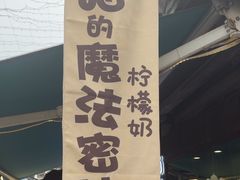 -猫的魔法密林(衣裳街店)