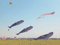 -潍坊滨海云门国际风筝放飞场