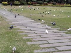 -白鹭洲公园