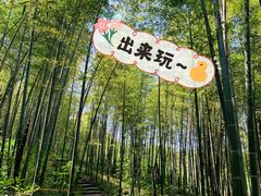 -镇江市南山风景名胜区竹林景区