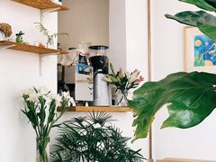 -怪 kafe.