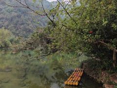 -靖西鹅泉风景区
