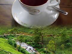 -Ministry of Crab(科伦坡店)