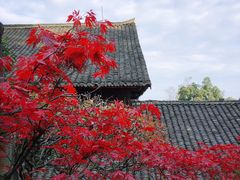 -峨眉山报国寺