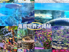 -正佳极地海洋世界