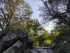 -阳台山自然风景区