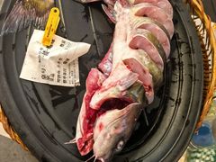 -刘姐啤酒鱼音乐餐厅(阳朔美食丁厄3分店)