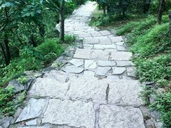 -香山公园