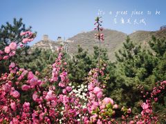-居庸关长城