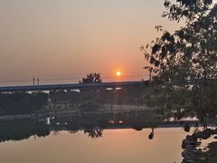 -宝安西湾红树林湿地公园