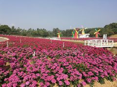 -松山湖梦幻百花洲