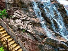 -广州白江湖森林公园