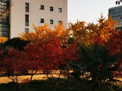 -同济大学·停车场