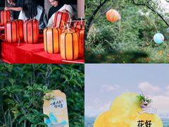 -宁波市保国寺古建筑博物馆