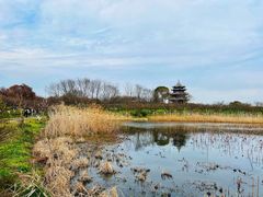 -上海海湾国家森林公园