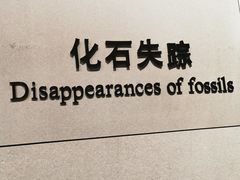 -北京周口店北京人遗址博物馆
