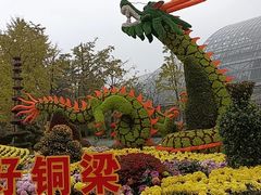 -南山植物园