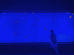 -上海海洋水族馆-停车场