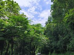 -广州市白云山风景名胜区