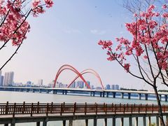 -艾溪湖湿地公园